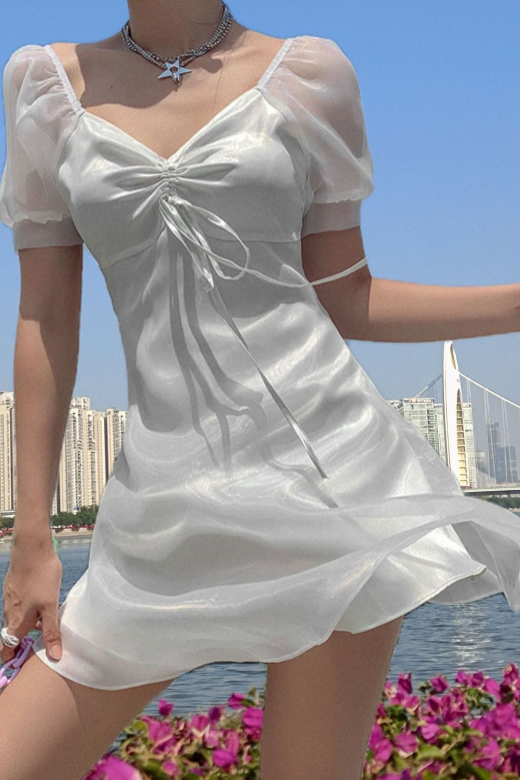 Modern Puff Sleeve Sheer Princess Dress