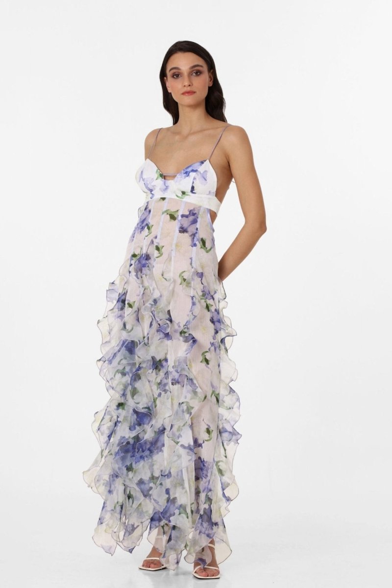 Alexia Ruffled Sheer Maxi-Length Dress
