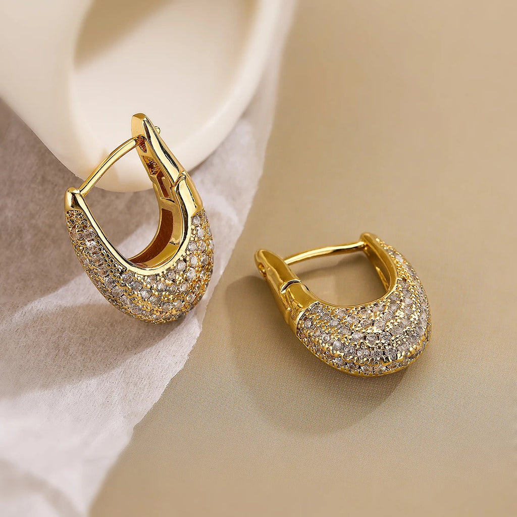 Chic Stainless Steel Earrings