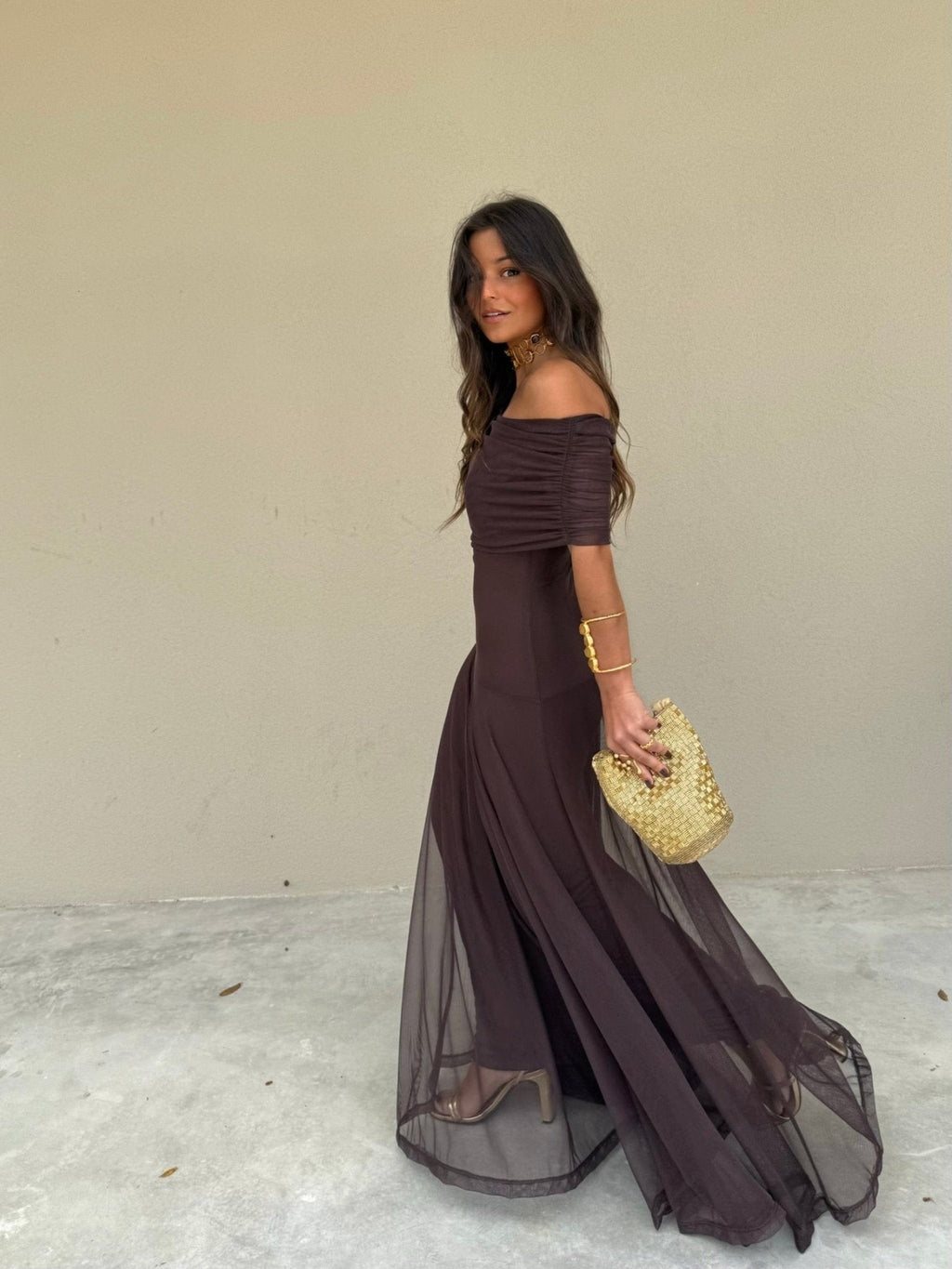 Daniella - Mesh Maxi Dress